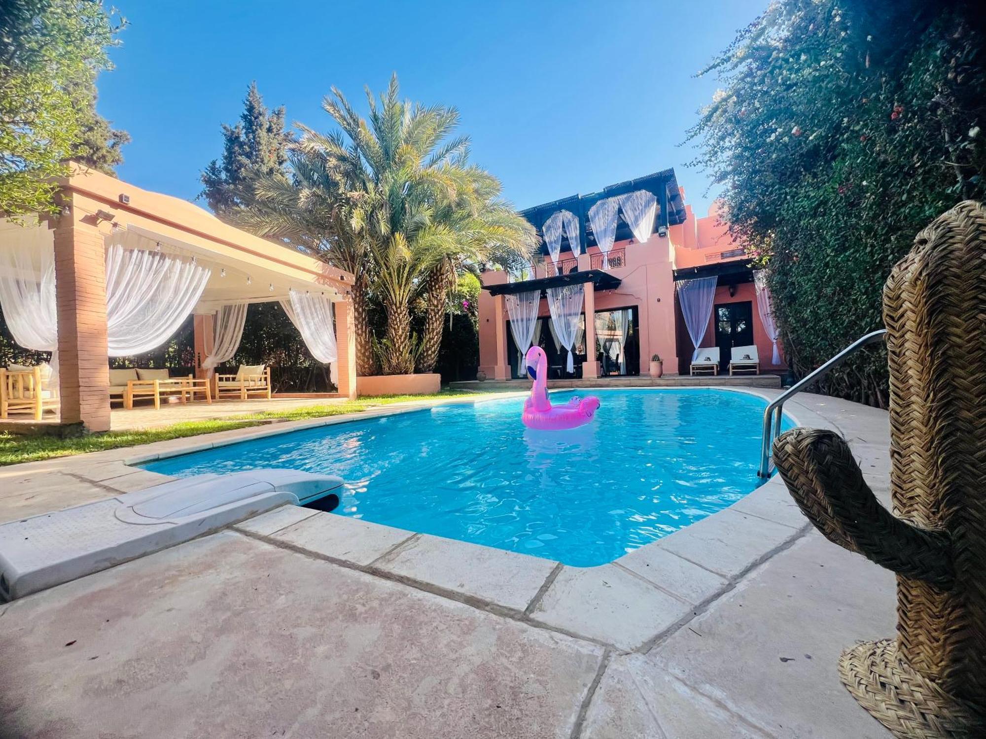 Camelia Des 3 Z * Marrakesh